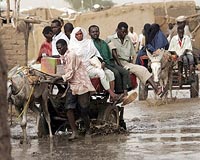 Turkish And African Floods Claim Many Lives