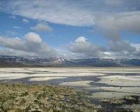Scientists solve Washington's milky rain puzzle