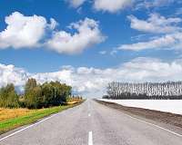 Scientists identify best trees for fighting roadside pollution