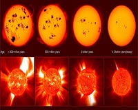 Violent Youth Of Solar Proxies Steer Course Of Genesis Of Life