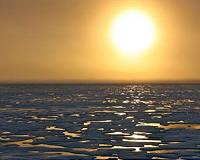 Melting Arctic opens new passages for invasive species