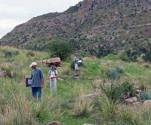 Warming climate pushes plants up the mountain