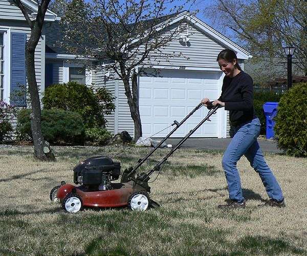 How mowing less lets flowers bloom along Austria's 'Green Belt'