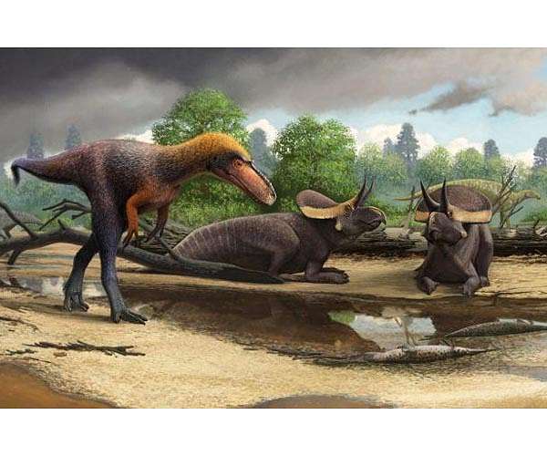 Billions of T. rexes walked on North America during the Age of the Dinosaurs