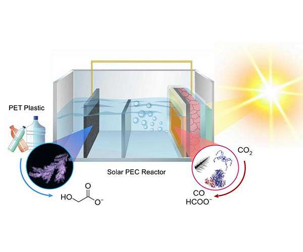 Solar-powered system converts plastic and greenhouse gases into sustainable fuels