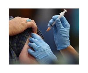 Swine flu should be included in north's seasonal vaccine: WHO