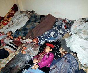 UN observers see 'difficult' job as Syria toll mounts