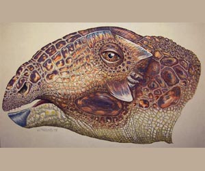 'Skin Bones' Helped Large Dinosaurs Survive for a Time