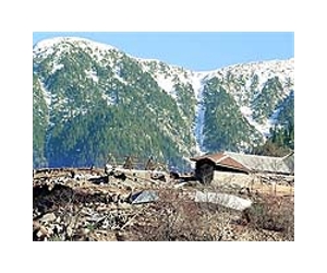 Up to 135 feared dead in Pakistan avalanche
