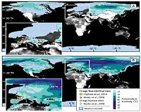 Did volcanic cataclysm trigger final demise of the Neanderthals