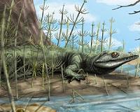 Mathematics predicts a sixth mass extinction