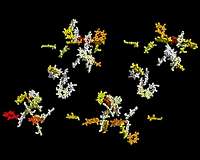 First movie of energy transfer in photosynthesis solves decades-old debate