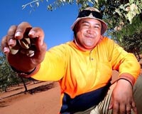 Pacific Island Labour Solution To Roll-Out Nationally