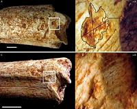 Hominins may have been food for carnivores 500,000 years ago