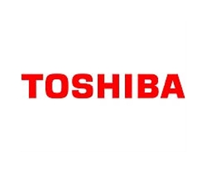 Japan's Toshiba to buy British nuclear firm: report