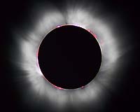 The Sun's Magnetic Fountains
