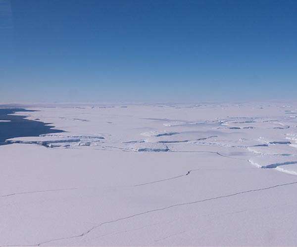 Antarctic ice shelves experienced only minor changes in surface melt since 1980