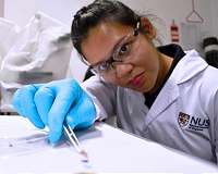 NUS marine scientists find toxic bacteria on microplastics retrieved from tropical waters