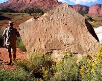 Why fossil tracks from Early Triassic swimming reptiles are preserved?