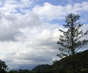 Send In The Clouds