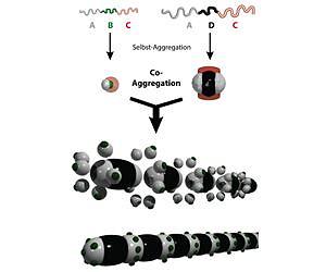 Turning nanoparticles into complex nanostructures