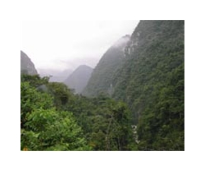 Ex-hunter thrills bird watchers on Ecuador preserve