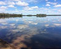 Study shows many lakes getting murkier, but gives hope for improvement