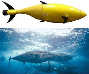 Robotic tuna is built by Homeland Security