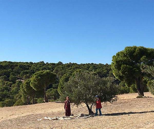 With EU funding, Tunisian farmer revives parched village