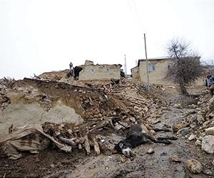 Desperate hunt for survivors after Turkey quake carnage