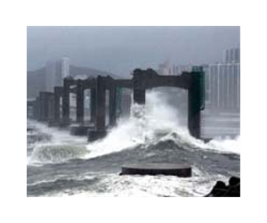 Typhoon Dianmu kills five in S.Korea