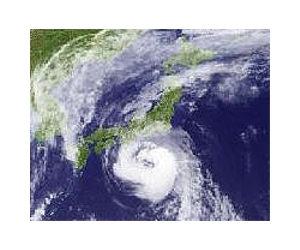 Typhoon Jelawat on course to hit mainland Japan