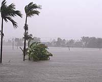 Typhoon kills nearly 50 in Vietnam, Cambodia
