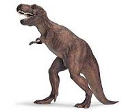 T. rex was probably pretty slow, scientists claim