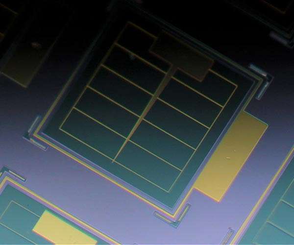 ASML profits soar, 'positive' signs for chips despite trade spats