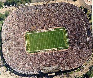 Campaign Calls on Largest Stadium in the US to Go Solar
