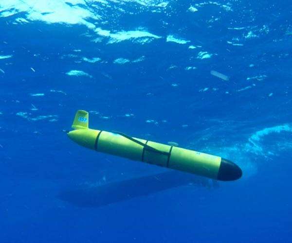 Mysteries and music: listening in to underwater life