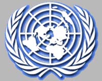 UN climate talks: Save the forests -- but how?