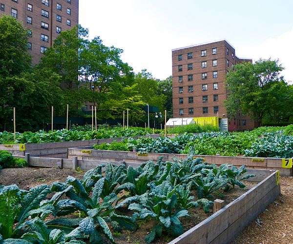 New York's new composting plan is ambitious - but controversial
