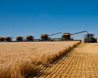 China says 'making enquiries' on buying US farm products