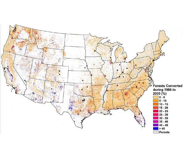 Dozens of U.S. tree species threatened with extinction, study says
