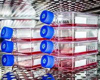 NASA Challenge Aims to Grow Human Tissue to Aid in Deep Space Exploration
