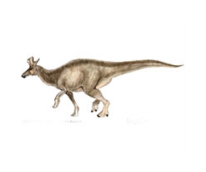 Polar dinosaurs not different from others