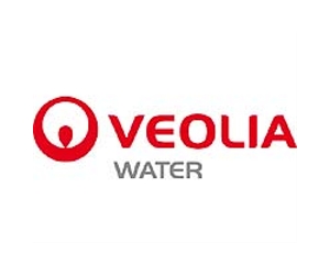 Veolia reports sales slip, shares surge
