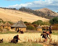 Agriculture began in Eurasia earlier than scientists thought