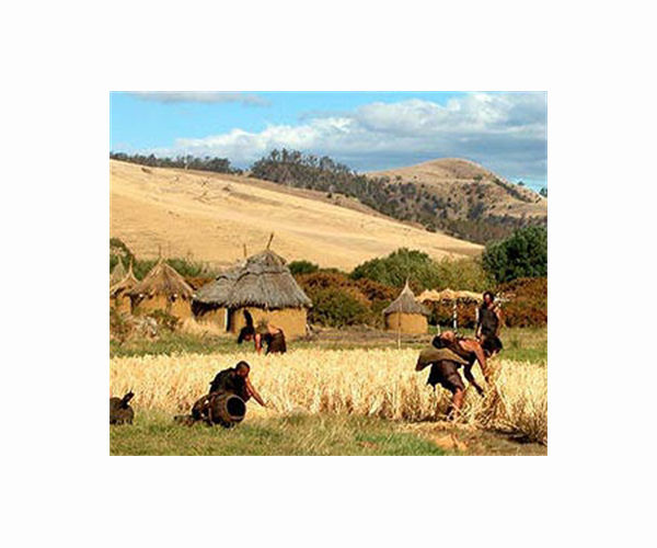 Ancient farming reveals deep roots of the Anthropocene