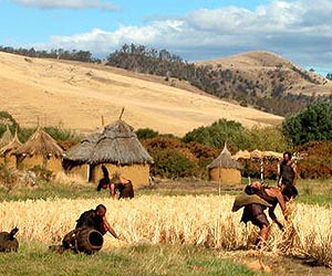 Dawn of agriculture took toll on health