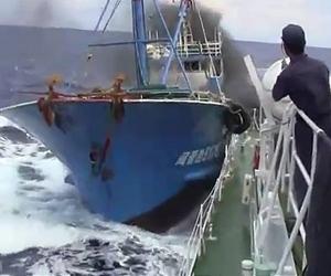 Japan still to blame, China says after ship video leak