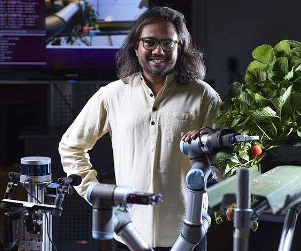 Strawberry-picking robot developed to address labour shortage in agriculture