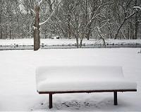Fresh snow hits northeastern US in killer storm